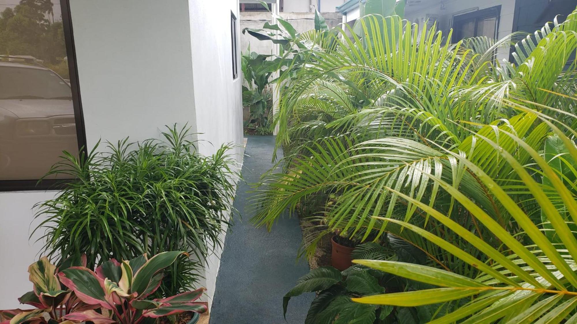 Hébergement de vacances Casa Tipica